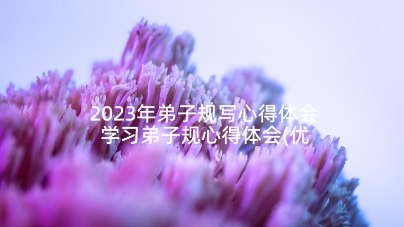 2023年弟子规写心得体会 学习弟子规心得体会(优质6篇)