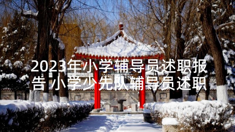 2023年小学辅导员述职报告 小学少先队辅导员述职报告(模板5篇)