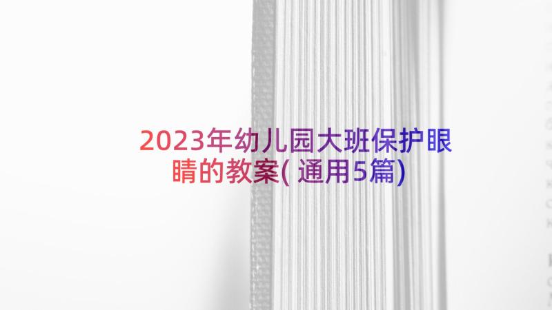 2023年幼儿园大班保护眼睛的教案(通用5篇)