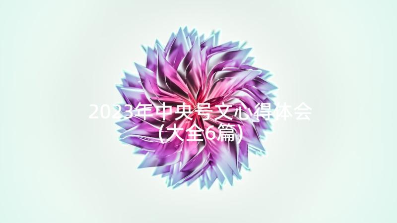 2023年中央号文心得体会(大全6篇)