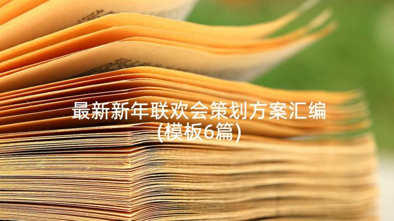 最新新年联欢会策划方案汇编(模板6篇)