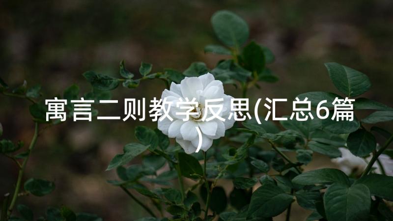 寓言二则教学反思(汇总6篇)