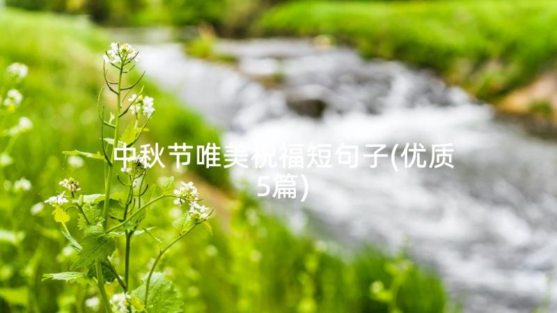 中秋节唯美祝福短句子(优质5篇)