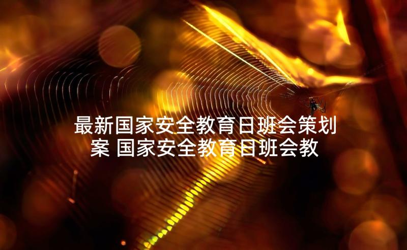最新国家安全教育日班会策划案 国家安全教育日班会教案(汇总5篇)