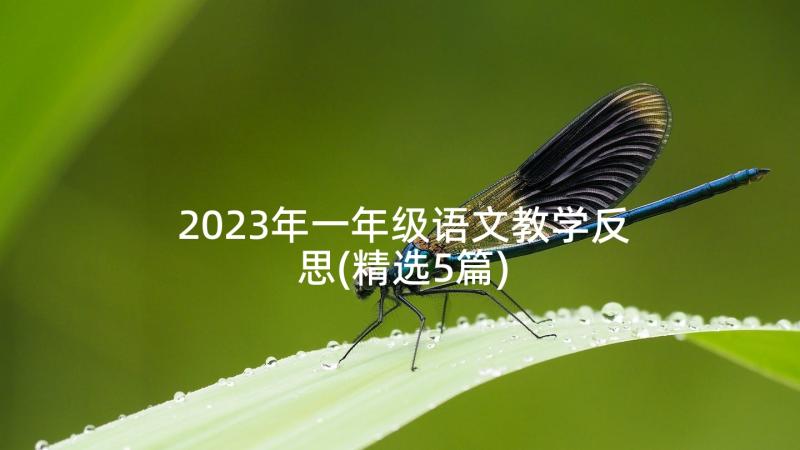 2023年一年级语文教学反思(精选5篇)