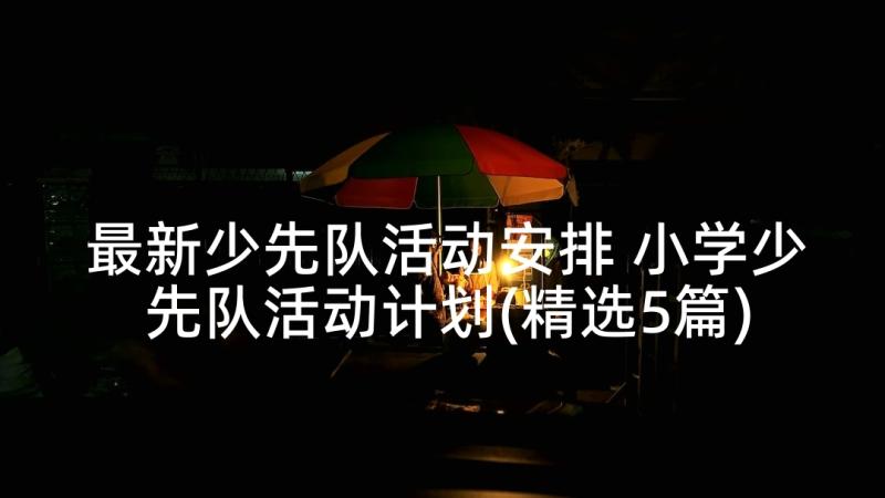 最新少先队活动安排 小学少先队活动计划(精选5篇)