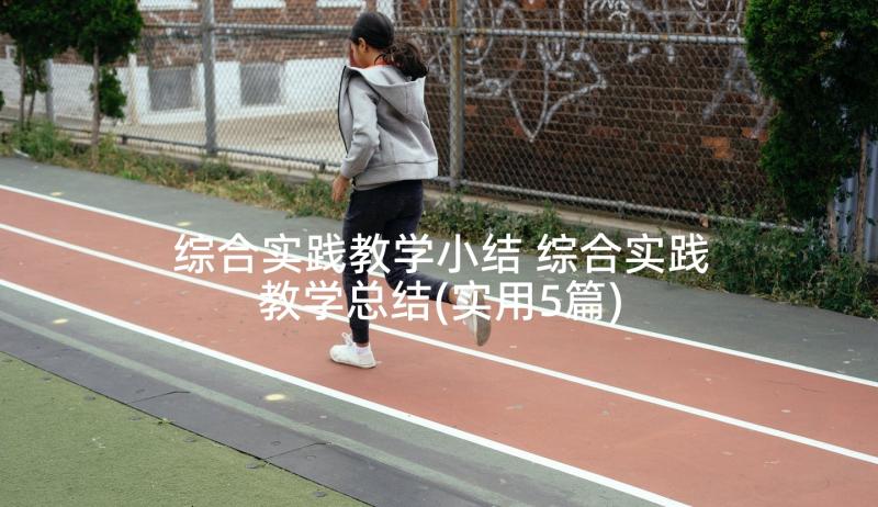 综合实践教学小结 综合实践教学总结(实用5篇)