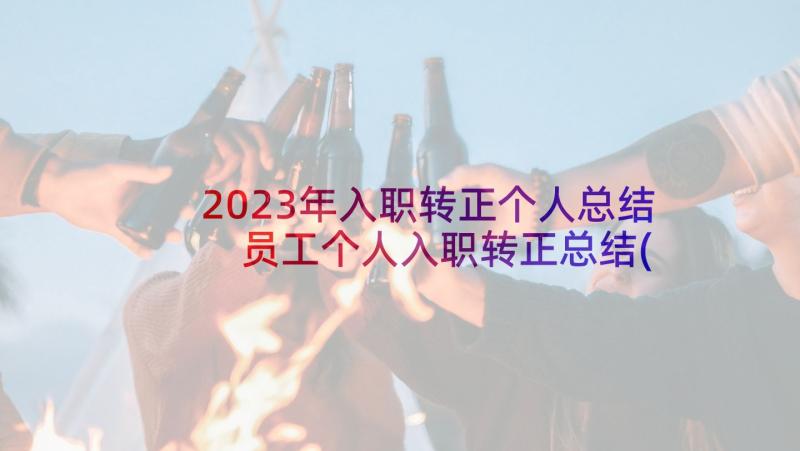 2023年入职转正个人总结 员工个人入职转正总结(实用5篇)