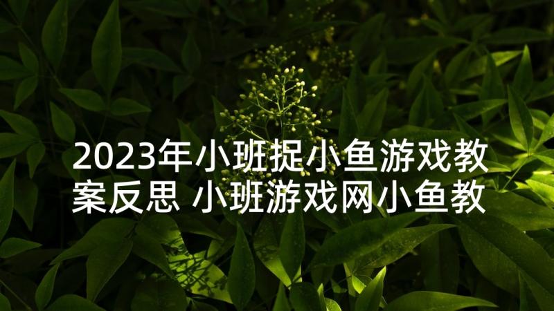 2023年小班捉小鱼游戏教案反思 小班游戏网小鱼教案(汇总5篇)