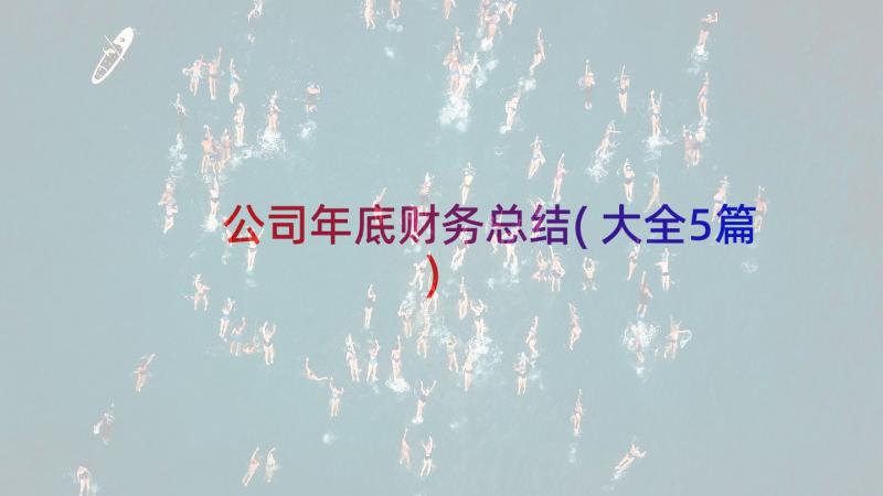 公司年底财务总结(大全5篇)