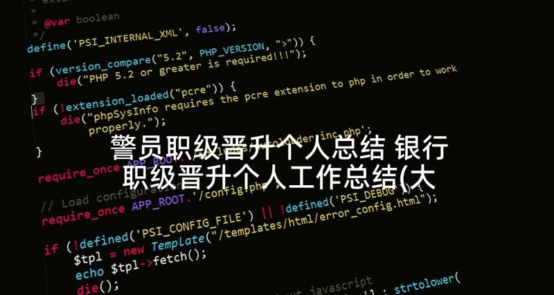警员职级晋升个人总结 银行职级晋升个人工作总结(大全5篇)