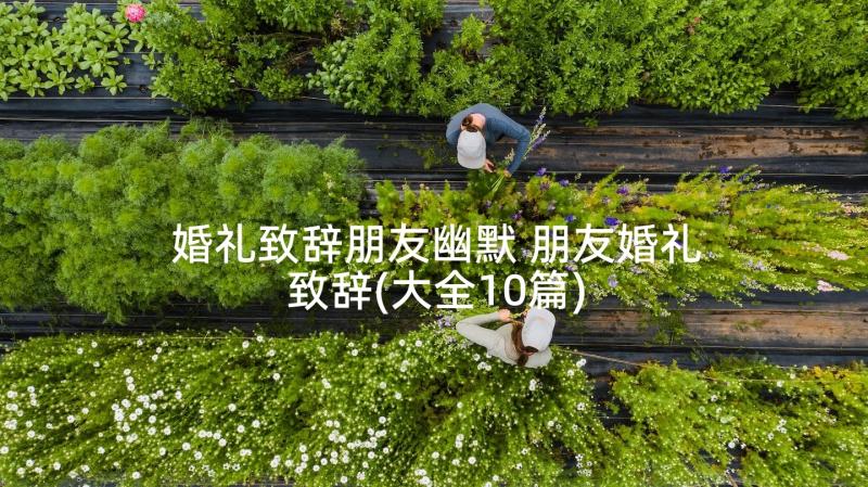 婚礼致辞朋友幽默 朋友婚礼致辞(大全10篇)