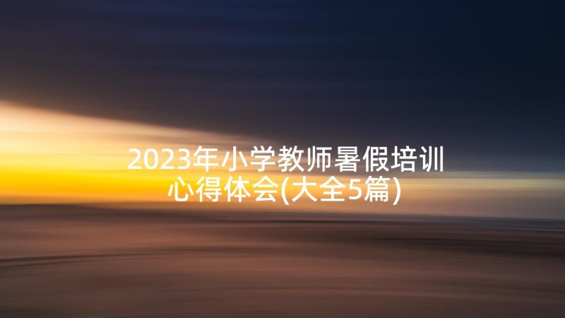 2023年小学教师暑假培训心得体会(大全5篇)