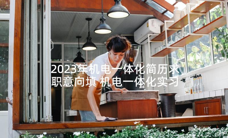 2023年机电一体化简历求职意向填 机电一体化实习求职简历(模板5篇)