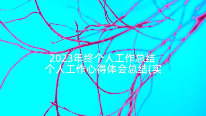 2023年终个人工作总结 个人工作心得体会总结(实用6篇)