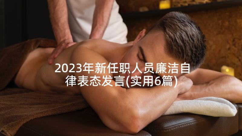 2023年新任职人员廉洁自律表态发言(实用6篇)