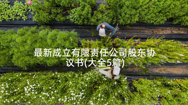 最新成立有限责任公司股东协议书(大全5篇)