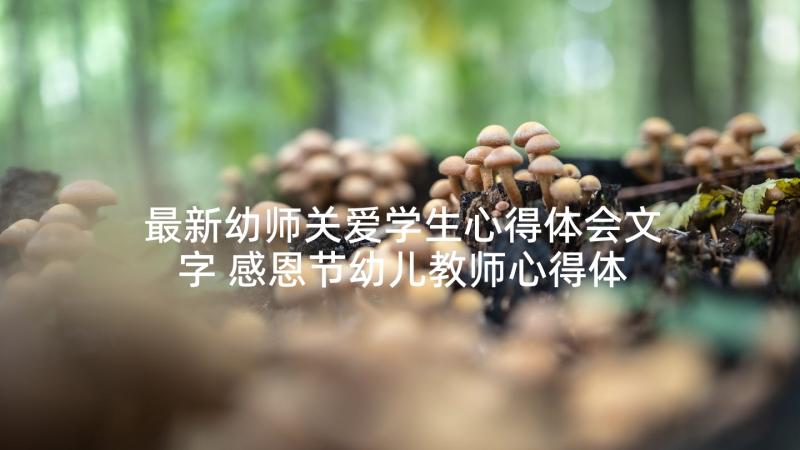 最新幼师关爱学生心得体会文字 感恩节幼儿教师心得体会(优质10篇)