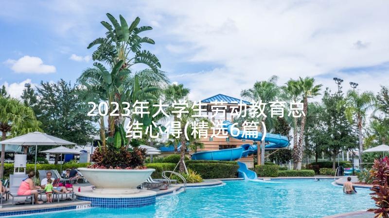 2023年大学生劳动教育总结心得(精选6篇)