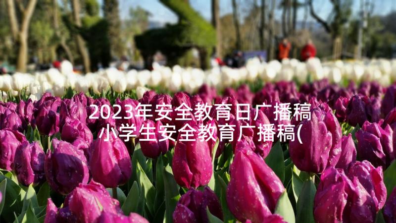 2023年安全教育日广播稿 小学生安全教育广播稿(优秀5篇)