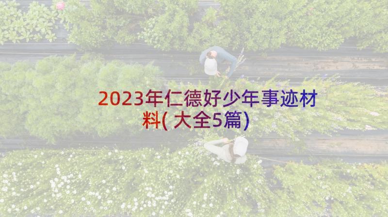 2023年仁德好少年事迹材料(大全5篇)