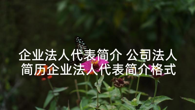 企业法人代表简介 公司法人简历企业法人代表简介格式(汇总5篇)