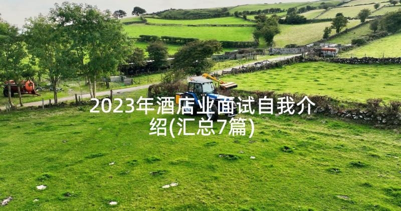 2023年酒店业面试自我介绍(汇总7篇)