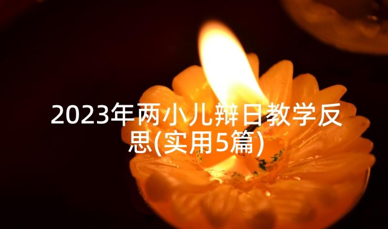 2023年两小儿辩日教学反思(实用5篇)