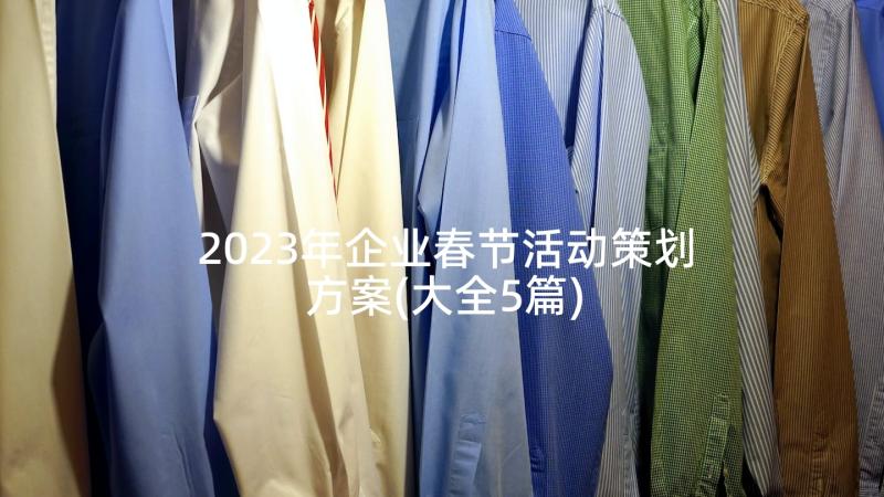 2023年企业春节活动策划方案(大全5篇)