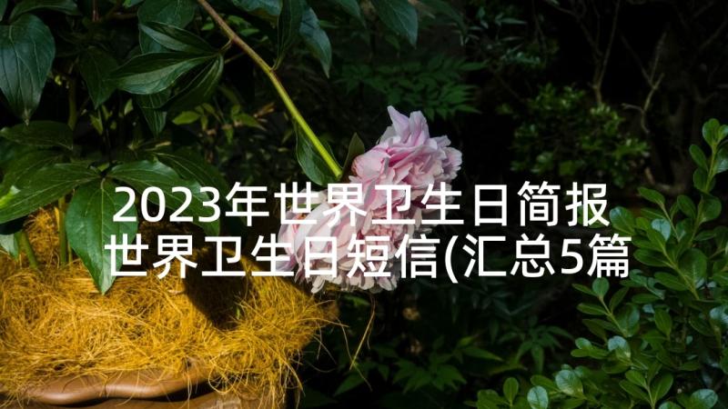 2023年世界卫生日简报 世界卫生日短信(汇总5篇)