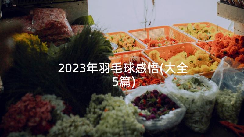 2023年羽毛球感悟(大全5篇)