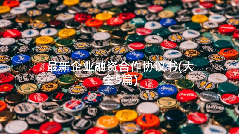 最新企业融资合作协议书(大全5篇)