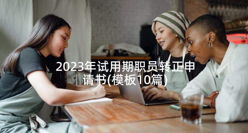 2023年试用期职员转正申请书(模板10篇)