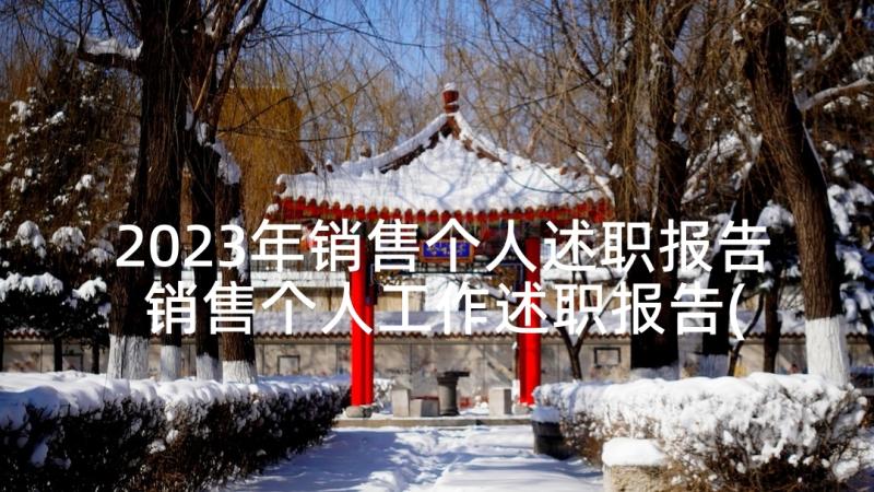 2023年销售个人述职报告 销售个人工作述职报告(汇总9篇)