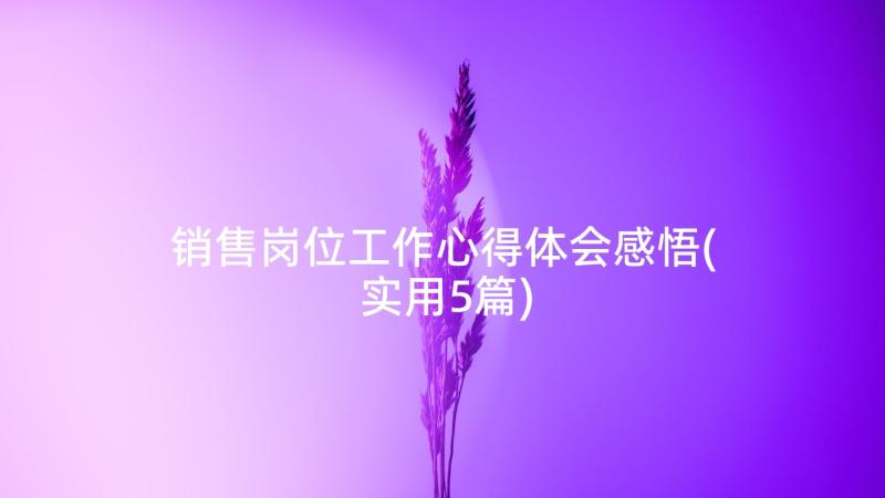 销售岗位工作心得体会感悟(实用5篇)