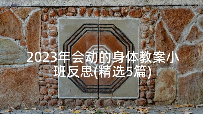 2023年会动的身体教案小班反思(精选5篇)