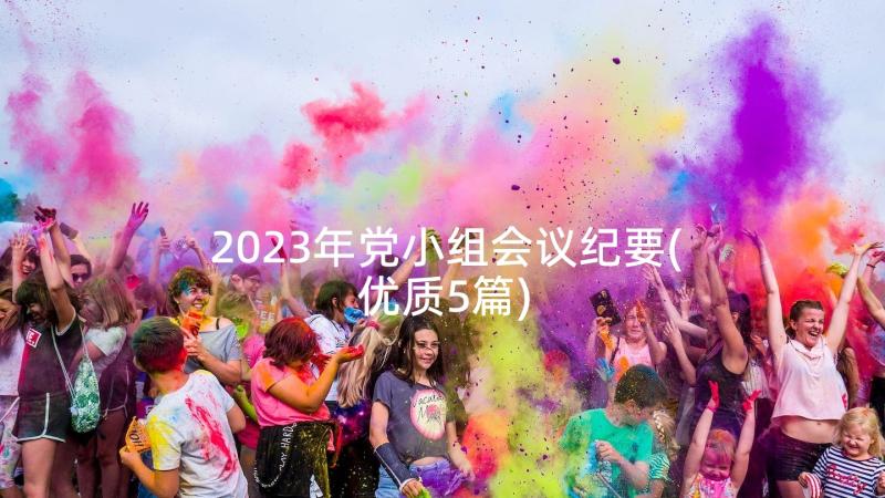 2023年党小组会议纪要(优质5篇)