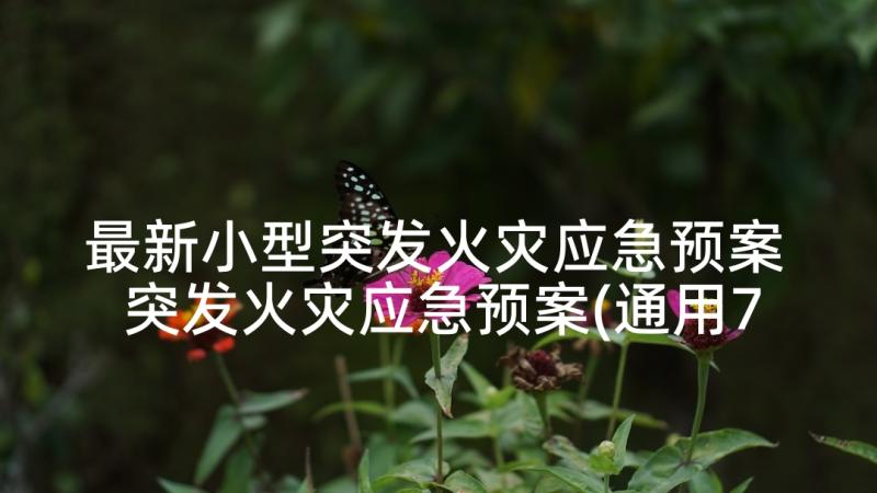 最新小型突发火灾应急预案 突发火灾应急预案(通用7篇)