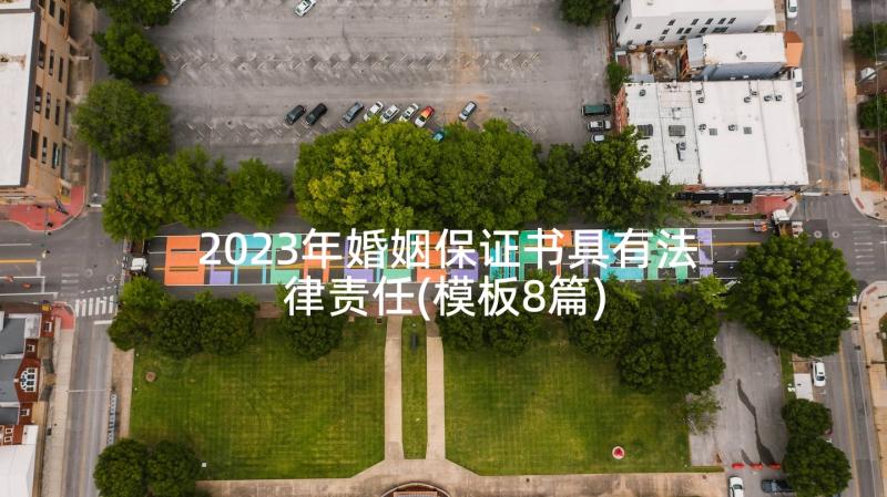 2023年婚姻保证书具有法律责任(模板8篇)