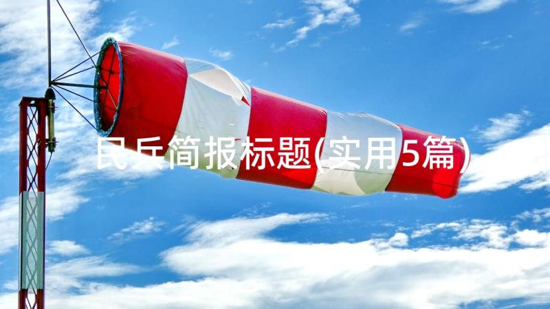 民兵简报标题(实用5篇)