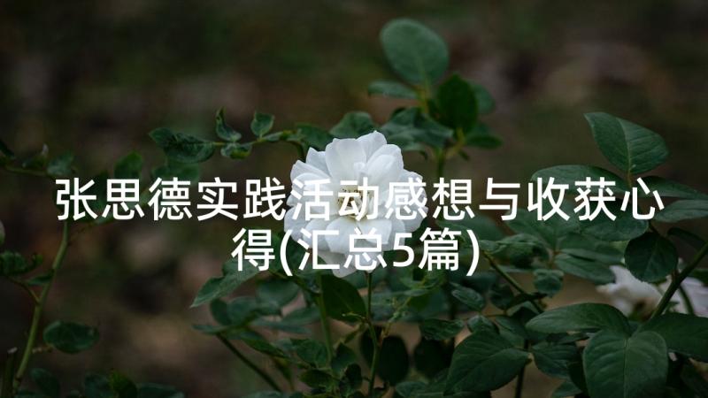 张思德实践活动感想与收获心得(汇总5篇)