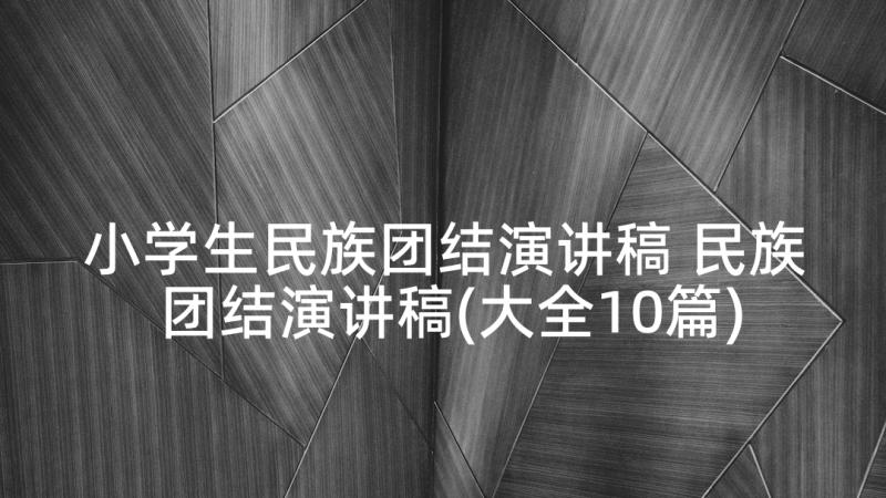 小学生民族团结演讲稿 民族团结演讲稿(大全10篇)