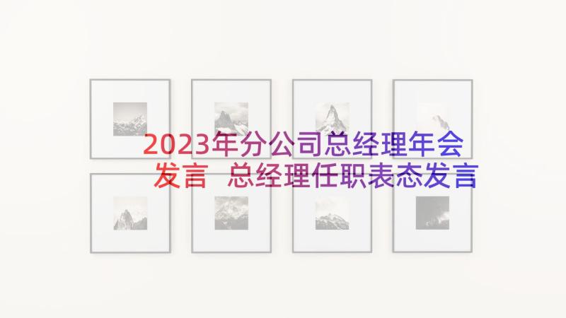 2023年分公司总经理年会发言 总经理任职表态发言稿(模板5篇)