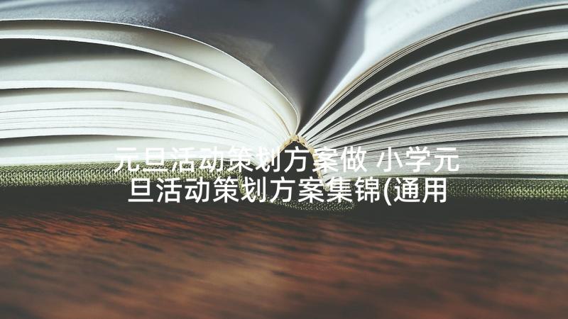 元旦活动策划方案做 小学元旦活动策划方案集锦(通用5篇)