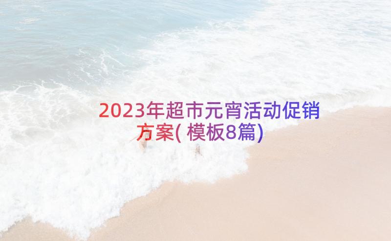 2023年超市元宵活动促销方案(模板8篇)