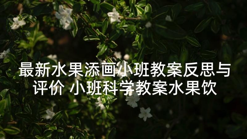 最新水果添画小班教案反思与评价 小班科学教案水果饮料反思(优秀10篇)