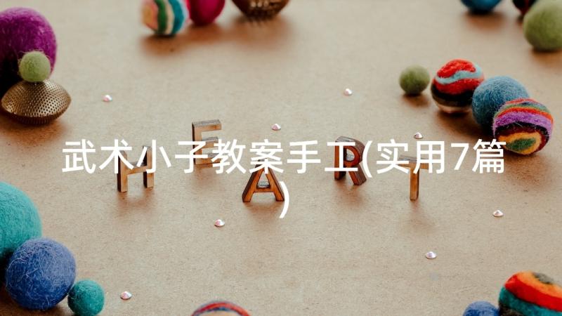 武术小子教案手工(实用7篇)