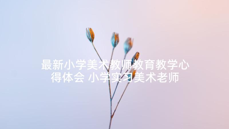 最新小学美术教师教育教学心得体会 小学实习美术老师心得体会(汇总6篇)