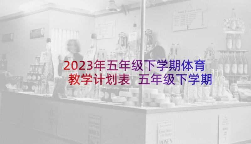 2023年五年级下学期体育教学计划表 五年级下学期教学计划(实用6篇)