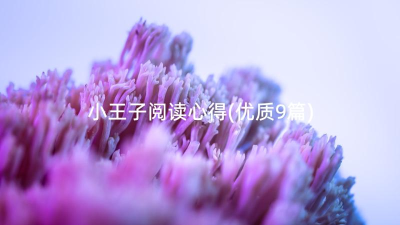 小王子阅读心得(优质9篇)